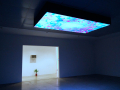 Mika Rottenberg: Untitles Ceiling Projection & AC and Plant