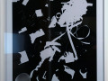 Mika Taanila: Black and White Movies, photogram