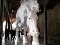 Pavilion of Argentina: Claaudia Fontes: The Horse Problem