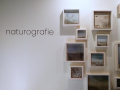 Roberto Ghezzi: Naturografie, Tisiana Tommei Contemporary