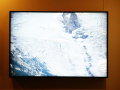 Jonathan Guaitamacchi: Monogenetics, Galleria 13