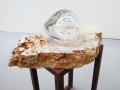 L'Elefante Arte Contemporaneo: Paolo Ciregia