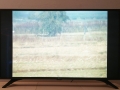 Virginia Agentero: Stop, 2018
