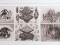 Sotto e sopra, graphic students