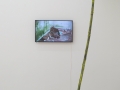 Agata Torelli/Gabriele Germano Gaburro: Luana