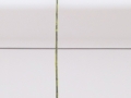 Filippo Tappi: untitled, 2018