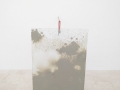 Andrea Di Lorenzo: radure, 2018