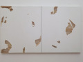 OTTO Gallery: Li Zhuwei - Nulla più