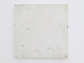 Stephen Rosenthal: Painting 4.04, 2016