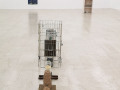 P420 - What the Eye Brought Back, installation view