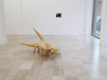 Bekhbaatar Enkhtur: Coccodrilli, 2025, beeswax, steel, golf ball, 96 x 205 cm