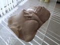 Adriano Avanzolini: Memoria, 2008