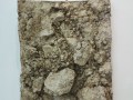Mauro Mazzali: Terra degli avi, 2007