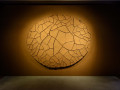 Alwar Balasubramaniam: Not Just for Us, 2026, Pavilion of India © Andrea Avezzu, courtesy of the Indian Pavilion