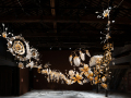 Ranjani Shettar: Under the same sky, Pavilion of India © Joe Habben, courtesy of the Pavilion of India