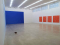 Riccardo Baruzzi, Pieter Vermeersch: Resonance