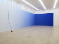 Riccardo Baruzzi, Pieter Vermeersch: Resonance