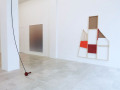 Riccardo Baruzzi, Pieter Vermeersch: Resonance