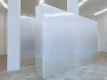 Riccardo Baruzzi: Exhibition Resonance