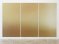 Pieter Vermeersch: Exhibition Resonance