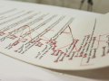 Donatella Lombardo: Rimediazioni Analogiche (Analogue Remediation), detail