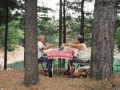 Picnic