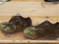 Shozo Shimamoto: Shoes of Shozo Shimamoto, 2011