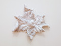 Lynda Benglis 