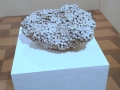 Saaci / Gallery: Silvia Infranco