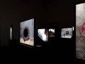 Silvia Camporesi - Circular View