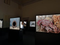Silvia Camporesi - Circular View