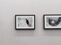 Paola Verrengia: Elisabetta Catalano, documenta 5, 1972