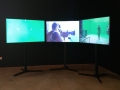 Danilo Correale: We are Making History, 2010