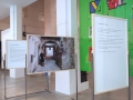 Elena Mazzi: Avanzi, 2015