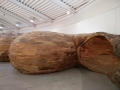 Henrique Oliveira: Transcorredor, 2016