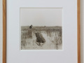 Vanished Landscapes, Iraq, Marsh Arabs, 1980