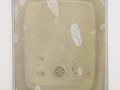 Helene Appel: Sink 2